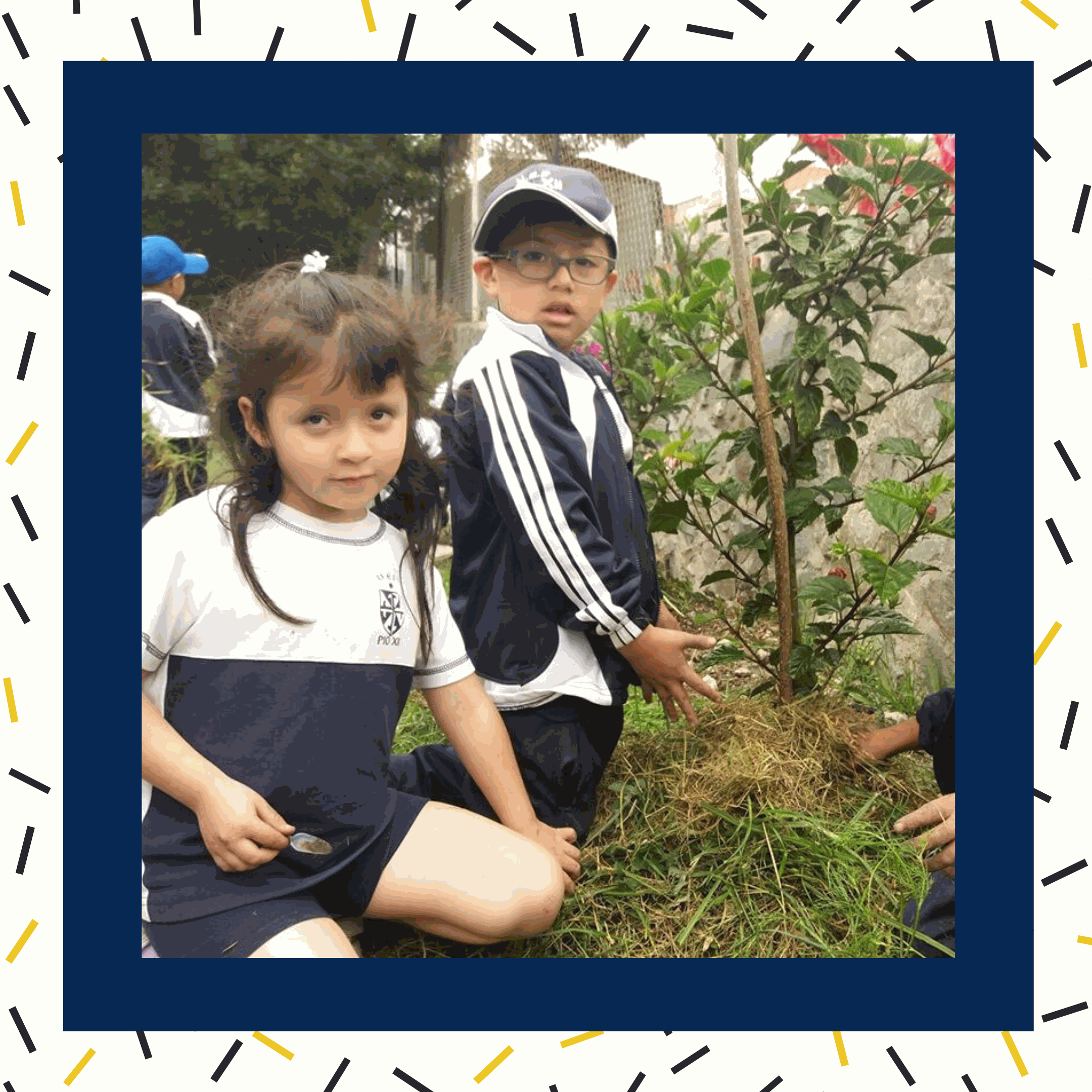 Odoo - Ejemplo 1 para tres columnas