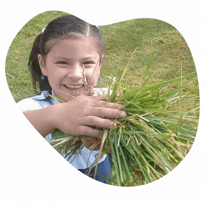 Bloque de imagen y texto